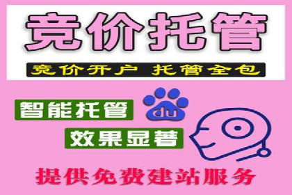 SEM推广竞价托管成功案例解析